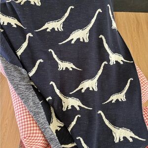 Dinosaur Patterned Blanket